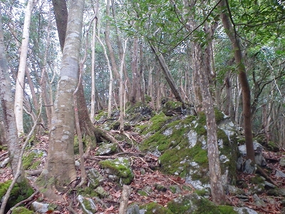 f0193521_3493425.jpg