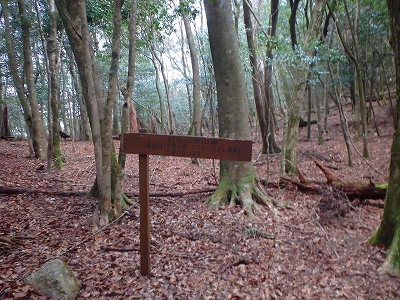 f0193521_3521442.jpg