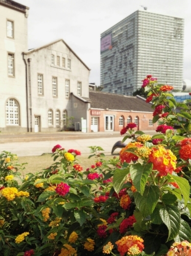 a0024829_22250646.jpg