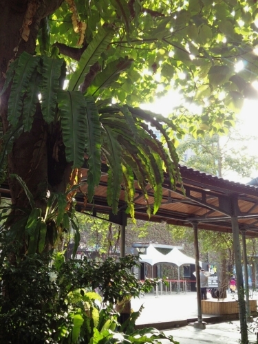 a0024829_22253318.jpg