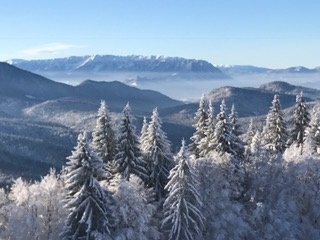 c0051529_1904260.jpg