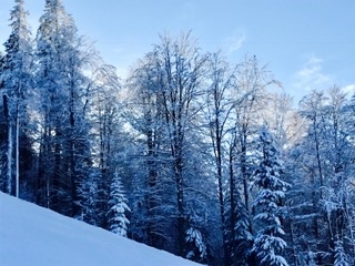 c0051529_1905913.jpg