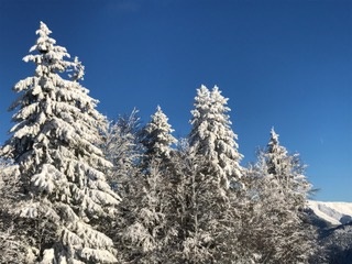 c0051529_1911336.jpg