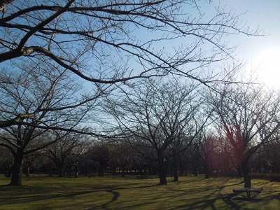 a0163738_23284197.jpg