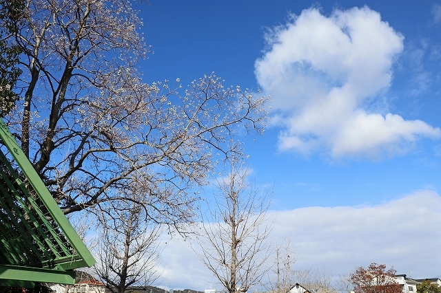 a0242438_20100532.jpg