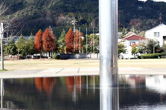 a0242438_20100569.jpg