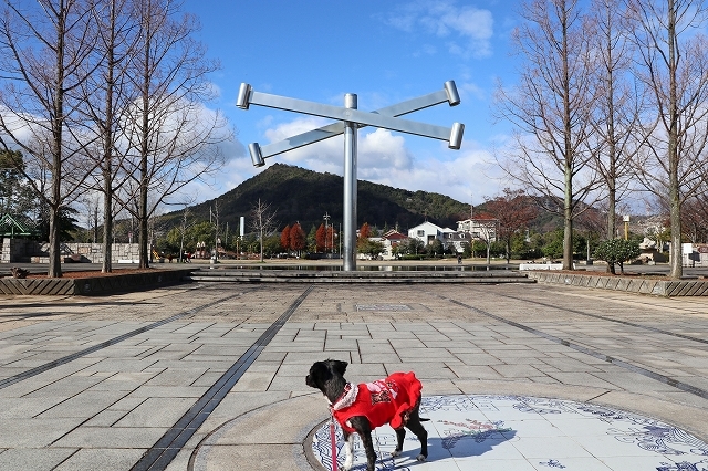 a0242438_20100614.jpg