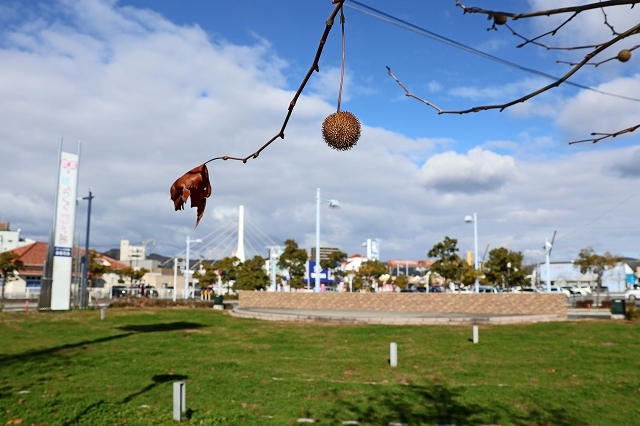 a0242438_20112302.jpg