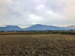 a0135840_10133229.jpg