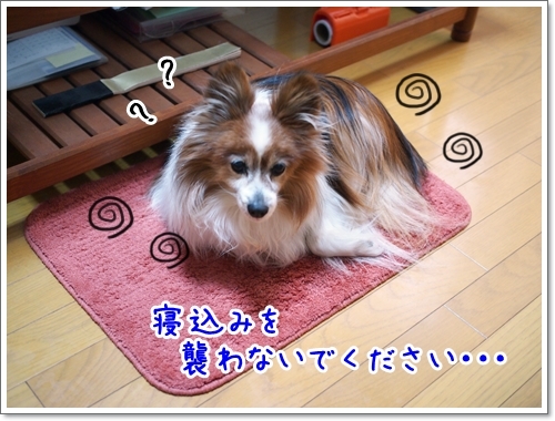 d0013149_00051268.jpg