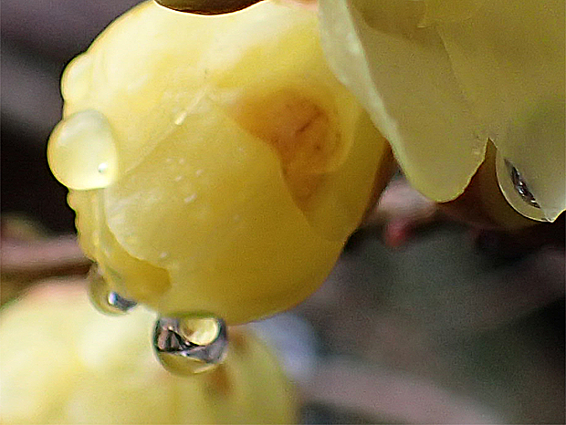 f0214649_651773.jpg