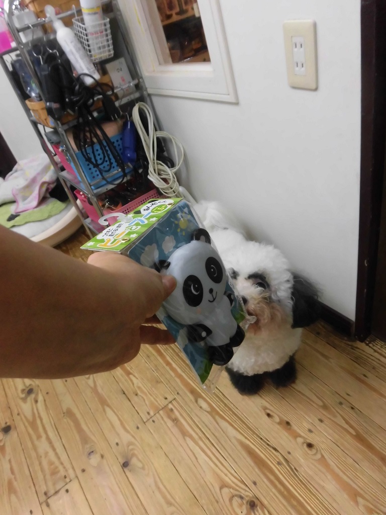 b0199050_8282550.jpg