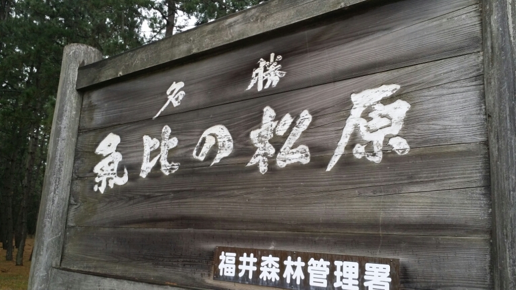 a0130451_08001486.jpg