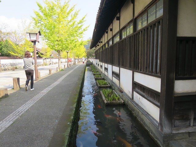 f0202151_19241734.jpg