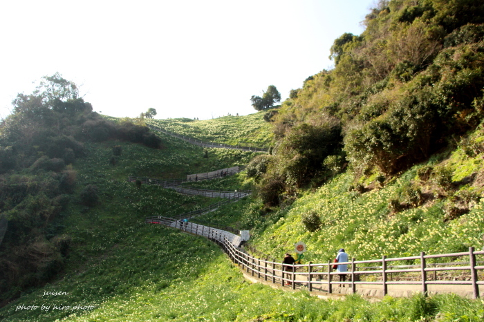 b0328557_22422549.jpg