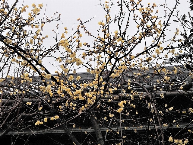 b0044663_16414481.jpg