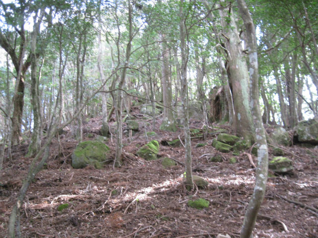 c0219866_10492541.jpg