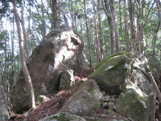 c0219866_1052245.jpg