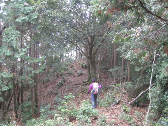c0219866_1057884.jpg
