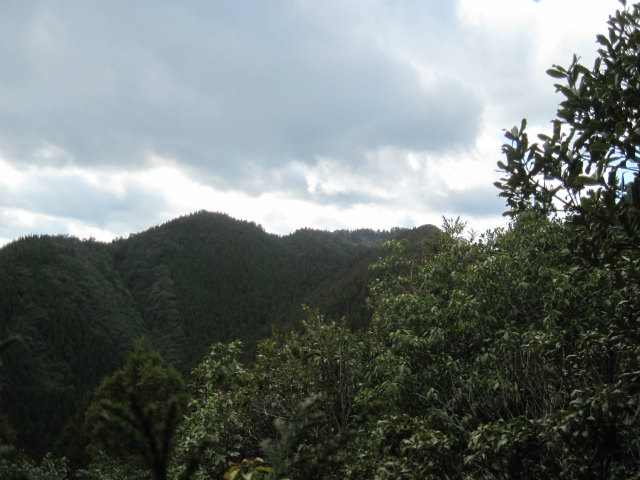 c0219866_1102336.jpg