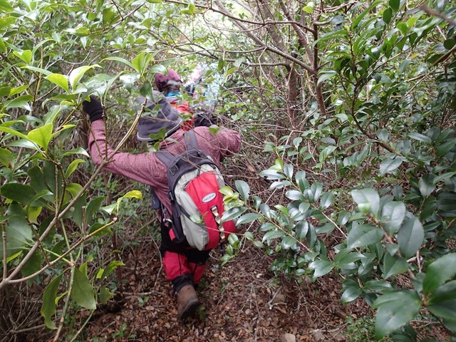c0219866_1103590.jpg