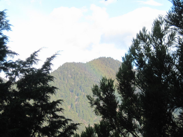 c0219866_1194586.jpg