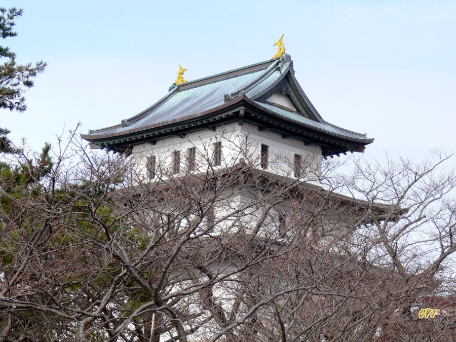 f0166871_15221783.jpg