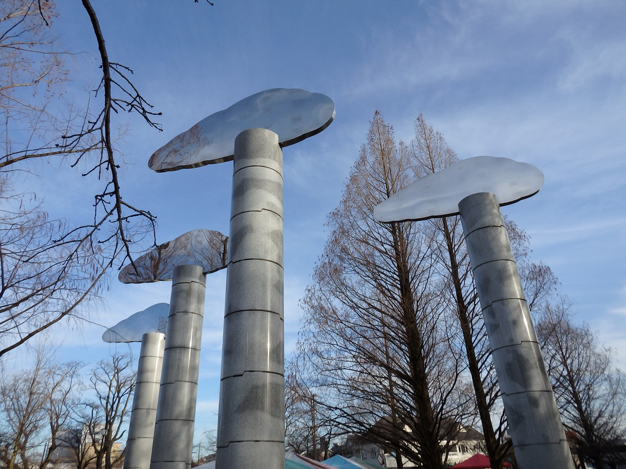 『各務原市民公園を歩いて・・・・・』 自然風の自然風だより