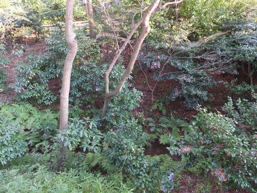 b0159780_1928255.jpg