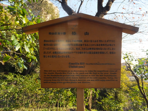 b0159780_19334325.jpg