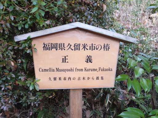 b0159780_19363060.jpg