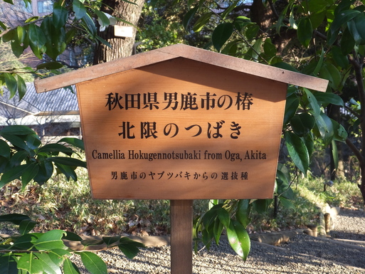 b0159780_19385188.jpg