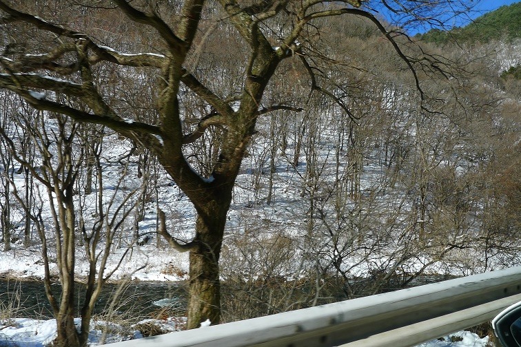 a0130586_1861844.jpg