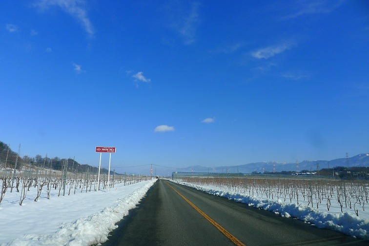 a0130586_1865544.jpg