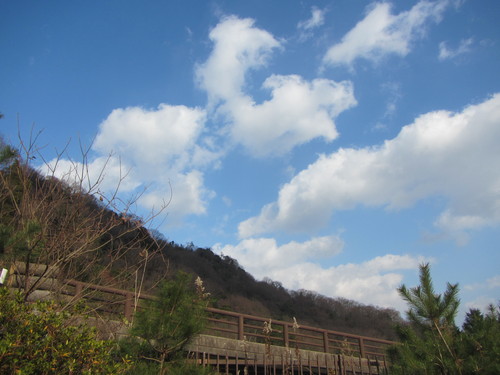 a0251786_20214223.jpg