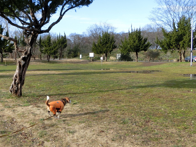 a0319693_8302457.jpg