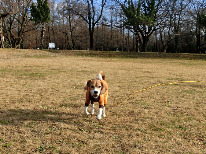 a0319693_8315227.jpg