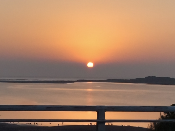 c0049299_22302824.jpg