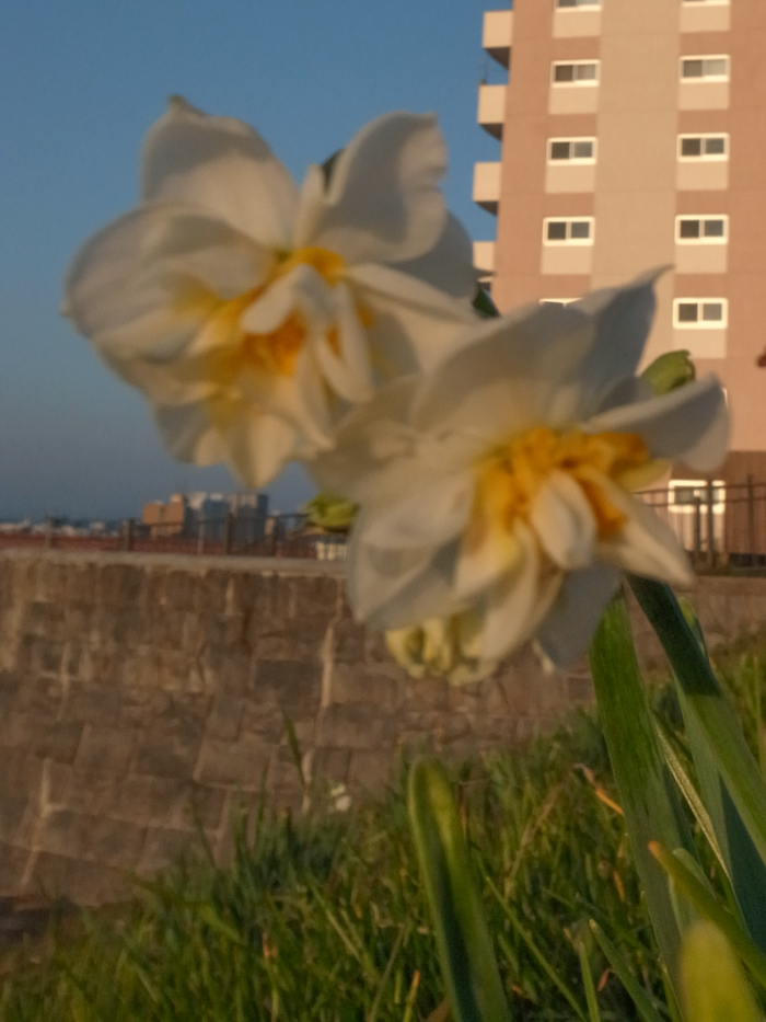 c0049299_22420640.jpg