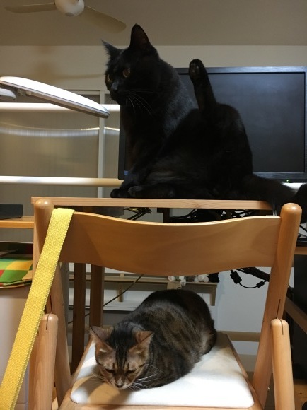 c0011300_22575303.jpeg