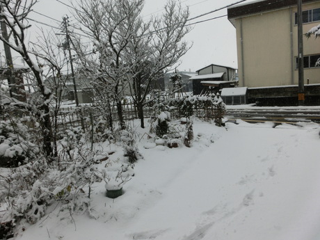 a0203003_19352172.jpg