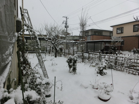 a0203003_19361096.jpg