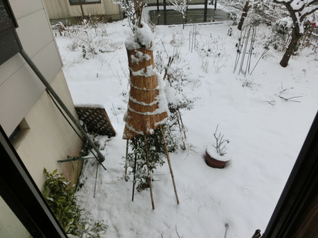 a0203003_19363062.jpg