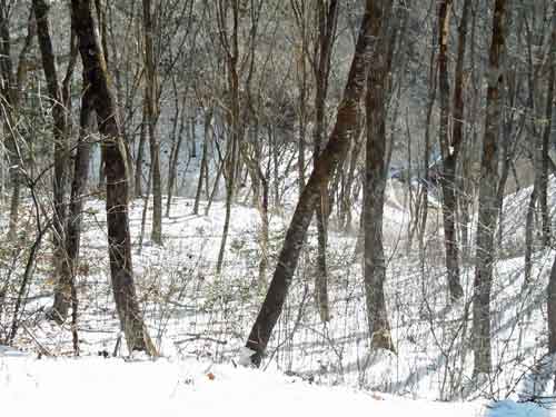 e0001110_1694073.jpg