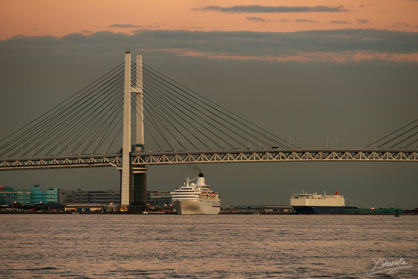 f0344614_993561.jpg