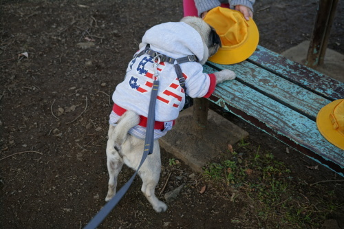 f0128821_22125303.jpg