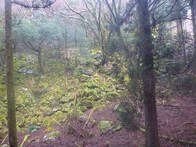 f0193521_4383981.jpg