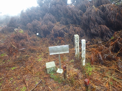 f0193521_4484873.jpg