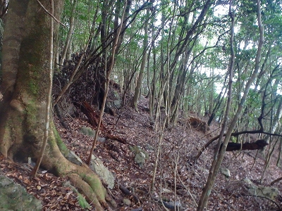 f0193521_592968.jpg