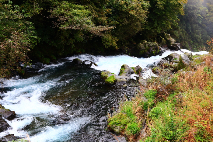 f0209122_19234868.jpg